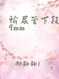 输尿管下段结石9mm