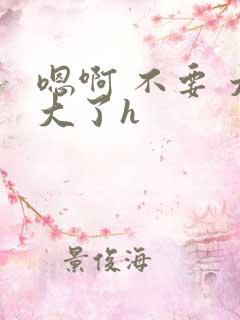 嗯啊 不要 太大了h