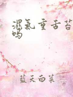 湿气重舌苔会黑吗