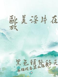 欧美淫片在线播放