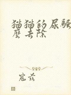 猫猫的尿骚味怎么去除