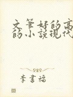 文笔好的高质量的小说现代言情推荐