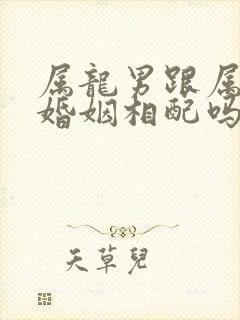 属龙男跟属蛇女婚姻相配吗