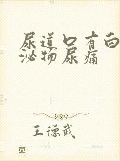 尿道口有白色分泌物尿痛