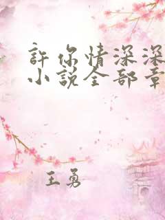 许你情深深似海小说全部章节