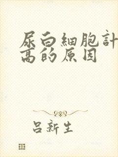 尿白细胞计数增高的原因