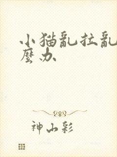 小猫乱拉乱尿怎么办