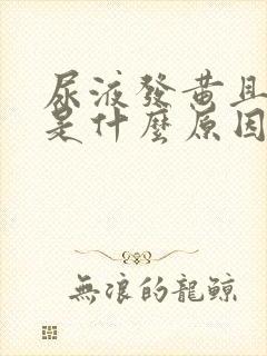 尿液发黄且浑浊是什么原因