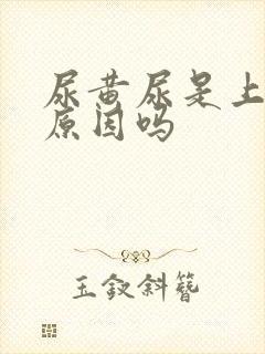 尿黄尿是上火的原因吗