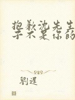 抱歉沈先生,孩子不是你的免费观看