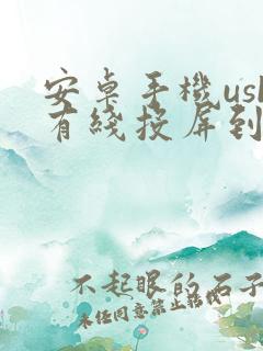 安卓手机usb有线投屏到电脑