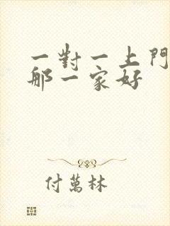 一对一上门辅导那一家好