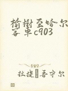 榆树至哈尔滨站客车c903