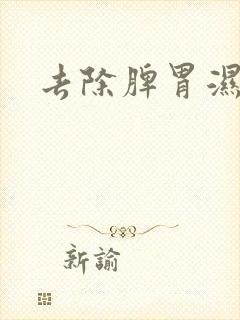 去除脾胃湿气重