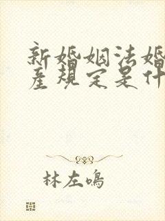 新婚姻法婚前财产规定是什么