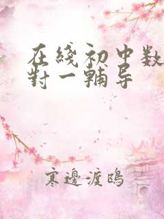 在线初中数学一对一辅导