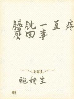 膀胱一直疼是怎么回事