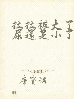 拉拉裤大了会漏尿还是小了会漏尿