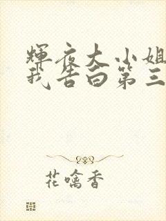 辉夜大小姐想让我告白第三季无删减