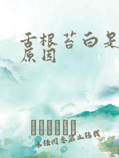 舌根苔白是什么原因