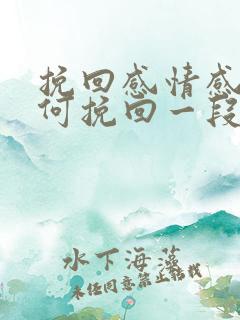 挽回感情感情如何挽回一段感情