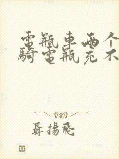 电瓶车两个月没骑电瓶充不进电了