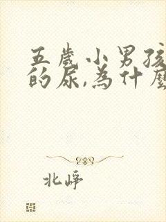 五岁小男孩频繁的尿,为什么