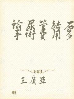 输尿管结石软镜手术费用多少