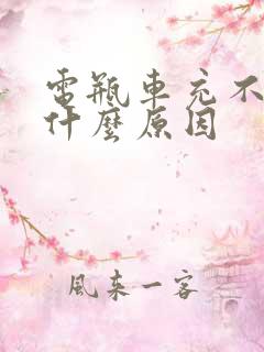 电瓶车充不上电什么原因