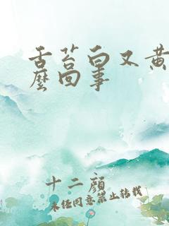 舌苔白又黄是怎么回事