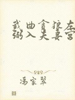 武曲贪狼左辅右弼入夫妻宫