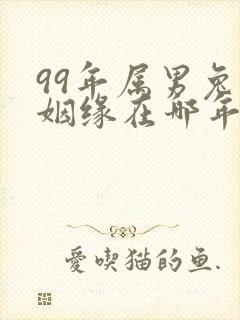 99年属男兔的姻缘在哪年