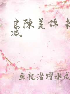 良陈美锦 未删减