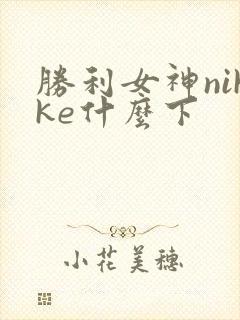 胜利女神nikke什么下