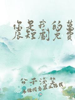 你是我的万千星辰短剧免费观看全集