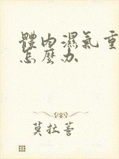 体内湿气重宫寒怎么办