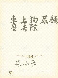 车上狗尿骚味怎么去除