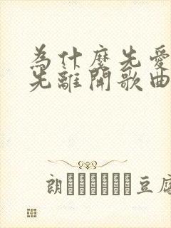 为什么先爱的人先离开歌曲