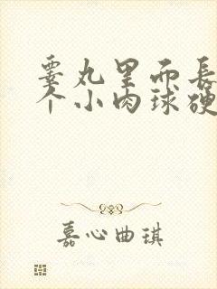 睾丸里面长了一个小肉球硬硬的有点疼