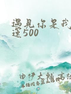 遇见你是我的幸运500