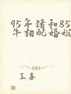 95年猪和85牛相配婚姻如何
