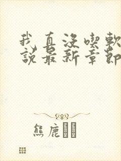 我真没吃软饭小说最新章节免费阅读全文