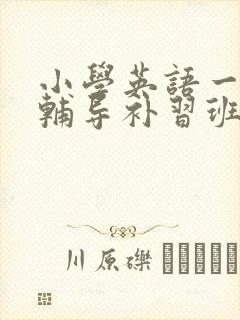 小学英语一对一辅导补习班