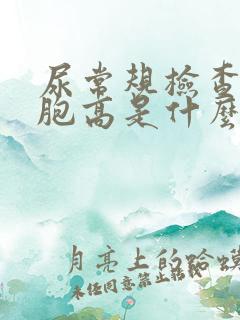 尿常规检查白细胞高是什么原因