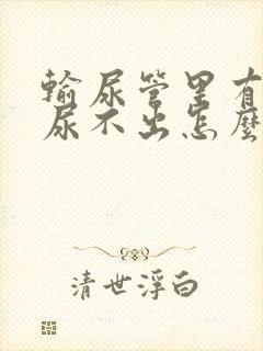 输尿管里有结石尿不出怎么办