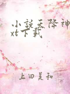 小说天降神婿txt下载