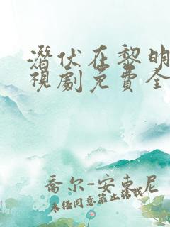 潜伏在黎明前电视剧免费全集