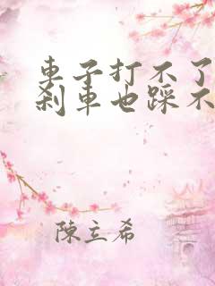 车子打不了火,刹车也踩不动