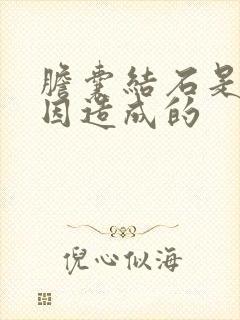 胆囊结石是啥原因造成的