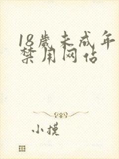 18岁未成年人禁用网站